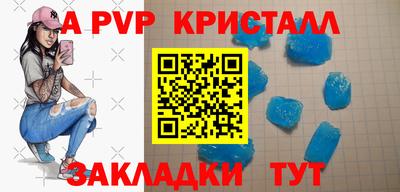 стафф Камышлов
