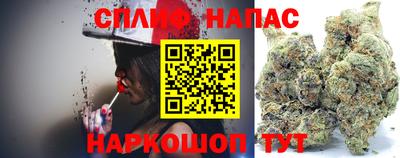 стафф Камышлов