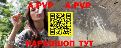 стафф Камышлов