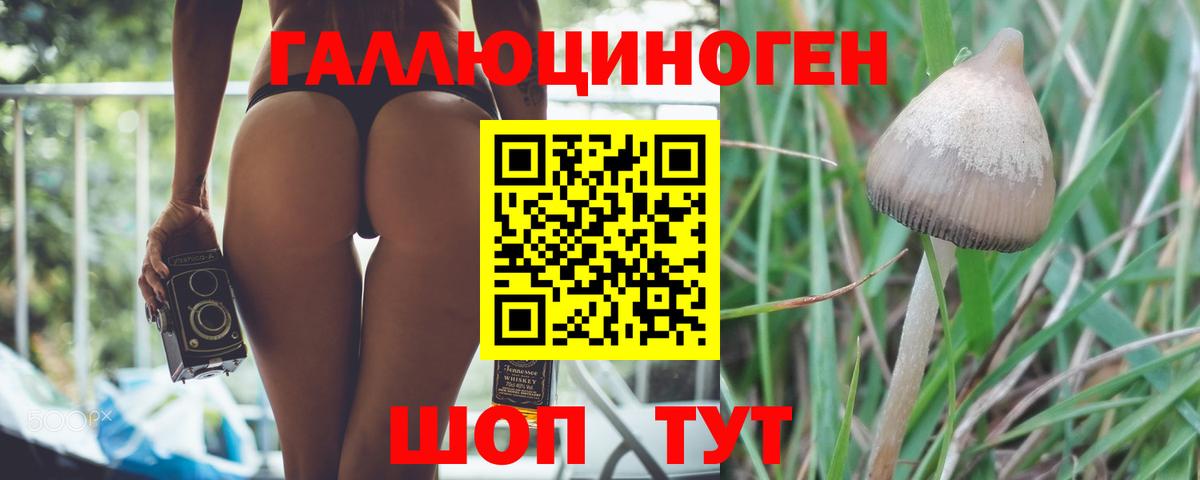 Галлюциногенные грибы Magic Shrooms Комсомольск-на-Амуре